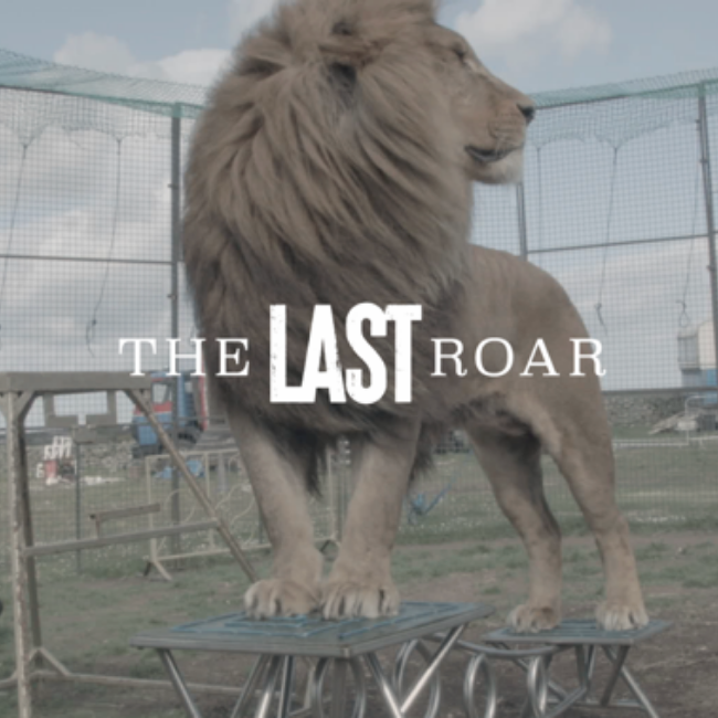 A First Look: The Première Screening of The Last Roar