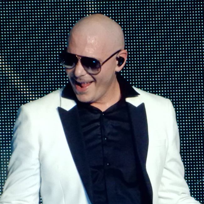 Pitbull